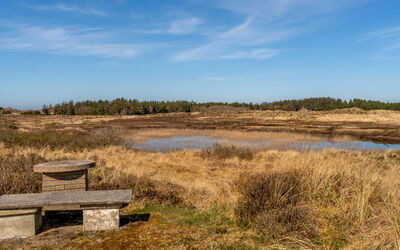 Elisa - 1.2Km from the Sea