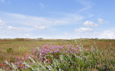 Margrethe - 1.1Km from the Sea: Boligområde, Tag, Forstad, Indkørsel, Estate, Skorsten