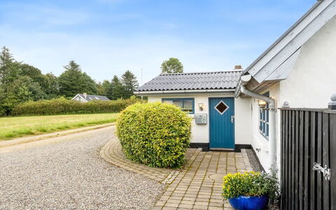 Aliza - 300M to the Fjord: Græs, Græs-, Landskab, Økoregion, Almindeligt, Plantesamfund, Land Lot, Udendørs Møbler, Prærie, Shrubland