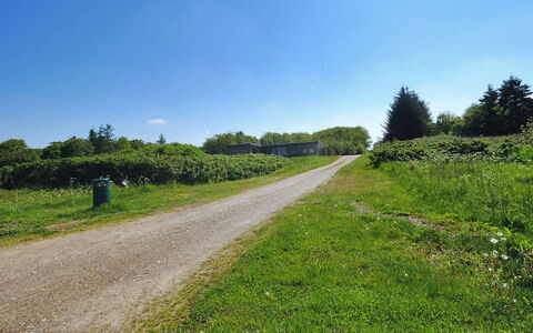 Eloise - 50M to the Fjord: Himmel, Blå, Grøn, Græs, Vegetationen, Naturlige Landskab, Græs-, Busk, Sommer