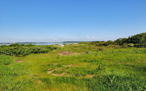 Eloise - 50M to the Fjord: Himmel, Blå, Grøn, Græs, Græs-, Vegetationen, Naturlige Landskab, Sky, Horisont, Økoregion