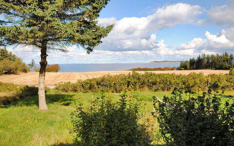 Kaleva - 200M to the Fjord: Himmel, Blå, Grøn, Vegetationen, Naturlige Landskab, Almindeligt, Græs-, Økoregion, Land Lot, Mark
