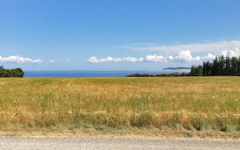 Kaleva - 200M to the Fjord: Blå, Græs, Sky, Horisont, Græs-, Naturlige Landskab, Almindeligt, Økoregion, Mark, Prærie