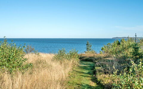 Thrine - 100M to the Fjord: Blå, Busk, Sommerhus, Bunddække, Have, Estate, Skygge, Landscaping, Stuehus, Eco Hotel