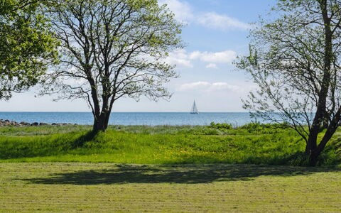 Elba - 100M from the Sea: Svømmepøl, Udendørs Møbler, Møbel, Udvej, Flise, Eco Hotel, Skygge, Stol, Fritid, Estate