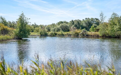 Milo - 5M from the Sea: Himmel, Blå, Vand, Vandressourcer, Krop Af Vand, Natur, Naturligt Miljø, Grøn, Naturlige Landskab, Vegetationen