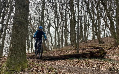 Eva - 1.5Km to the Fjord: Cykelhjul, Cykel, Træ, Hjul, Mountainbike