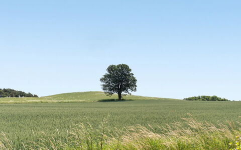 Hila - 900M from the Sea: Boligområde, Tag, Forstad, Indkørsel, Estate, Skorsten