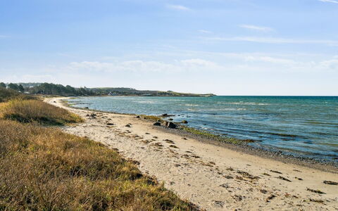 Dzavid - 10M from the Sea: Hjem, Tag, Hus, Dør, Sommerhus, Skygge, Have, Bunddække, Veranda, Gård