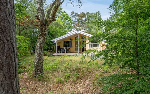 Ros - 350M from the Sea: Træ, Græs, Afdeling, Træ, Hus, Sommerhus, Hjem, Tag, Landdistrikt, Busk
