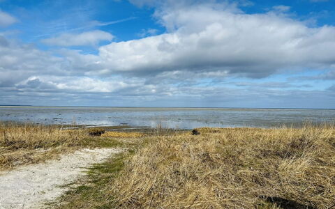 Swale - 500M from the Sea: Himmel, Blå, Sky, Daytime, Horisont, Økoregion, Cumulus, Almindeligt, Græs-, Hav