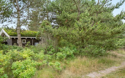 Alfi - 150M from the Sea: Træ, Tag, Hus, Sommerhus, Dør, Hjem, Sidespor, Land Lot, Garden Bygninger, Skur