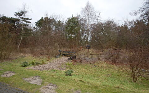 Runhild - 100M from the Sea: Busk, Land Lot, Jord, Sti, Woodland, Sti