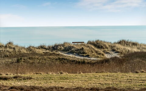 Jyrki - 100M from the Sea: Græs, Økoregion, Horisont, Græs-, Hav, Plantesamfund, Coastal Og Oceaniske Landskabsformer, Kyst, Almindeligt, Steppe