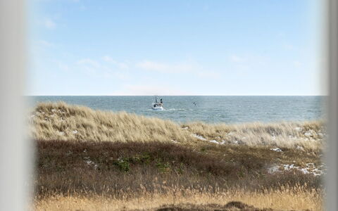 Dafna - 100M from the Sea: Tag, Hus, Land Lot, Hjem, Sommerhus, Estate, Garden Bygninger, Skygge, Bjælkehytte, Landscaping