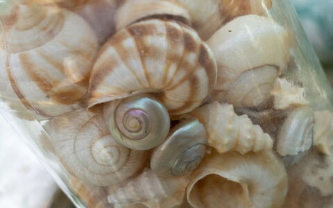 Annamie - 650M from the Sea: Naturmateriale, Mad