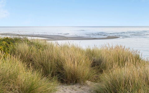 Fay - 25M from the Sea: Tækning, Sommerhus, Hus, Tag, Hjem, Stuehus, Hytte, Estate, Landsby