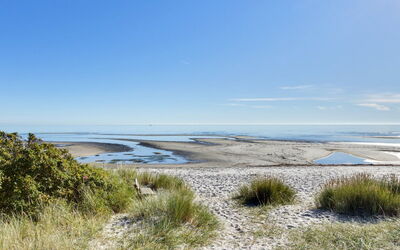 Fay - 25M from the Sea