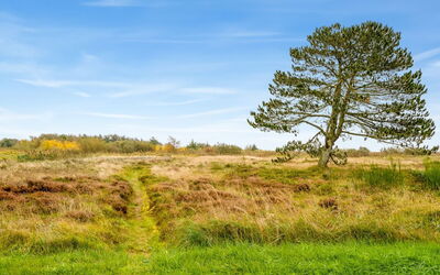 Hejdie - 150M from the Sea