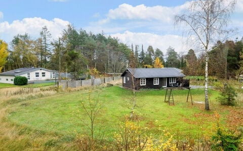 Ingalise - 500M from the Sea: Træ, Græs, Hus, Busk, Sommerhus, Hjem, Landdistrikt, Landskab, Land Lot