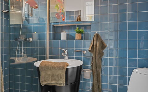 Mumme - 100M from the Sea: Sanitærarmatur, Indretning, Badeværelse, Flise, Gulvbelægning, Vvs, Tap, Håndvask, Toilet, Toiletbræt