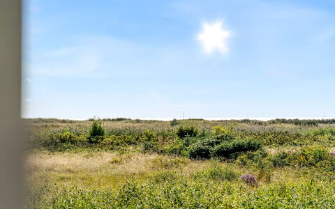Mumme - 100M from the Sea: Himmel, Blå, Daytime, Grøn, Græs, Naturligt Miljø, Græs-, Vegetationen, Økoregion, Naturlige Landskab