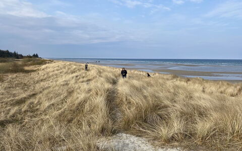 Kajo - 800M from the Sea: Hus, Tag, Hjem, Sommerhus, Skur, Garden Bygninger, Sidespor, Gård, Bjælkehytte, Hytte