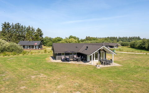 Richard - 4Km from the Sea: Græs, Græs-, Landskab, Økoregion, Almindeligt, Plantesamfund, Land Lot, Udendørs Møbler, Prærie, Shrubland