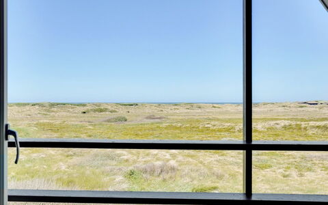 Viona - 350M from the Sea: Blå, Sollys, Hav, Ocean, Kyst, Glas, Steppe, Dagslys, Prærie