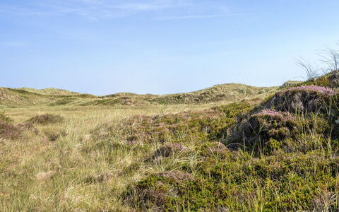 Marjon - 400M from the Sea: Tag, Hjem, Dør, Sommerhus, Skygge, Sidespor, Gård, Estate, Backyard