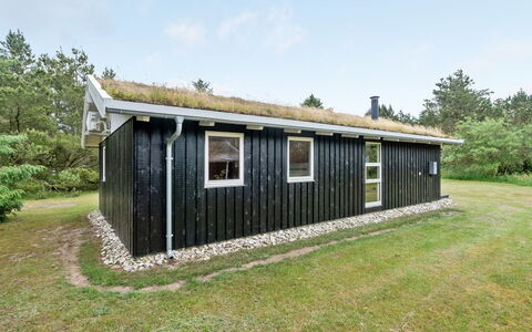 Svantepolk - 1.1Km from the Sea: Hus, Hjem, Dør, Tag, Sommerhus, Estate, Have, Skygge, Sidespor, Gård