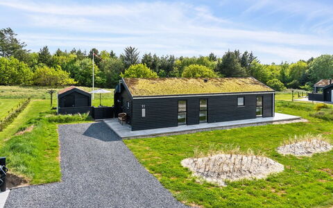 Dyke - 1.5Km from the Sea: Træ, Tag, Hus, Sommerhus, Dør, Hjem, Sidespor, Land Lot, Garden Bygninger, Skur
