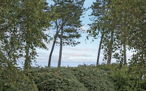Stamen - 200M from the Sea: Svømmepøl, Udendørs Møbler, Møbel, Udvej, Flise, Eco Hotel, Skygge, Stol, Fritid, Estate