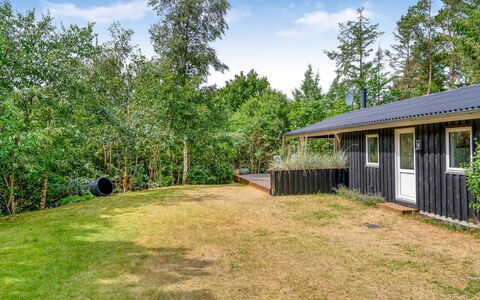 Adam - from the Sea: Busk, Land Lot, Sommerhus, Landdistrikt, Bunddække, Have, Garden Bygninger, Skygge, Backyard, Eng