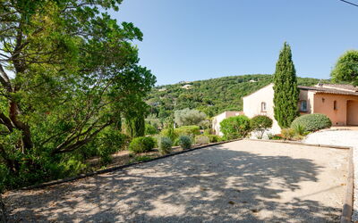 Le Petit Rouveau