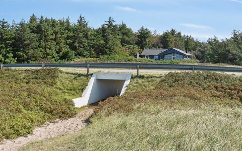 Awenita - 50M to the Fjord: Græs, Græs-, Landskab, Økoregion, Almindeligt, Plantesamfund, Land Lot, Udendørs Møbler, Prærie, Shrubland