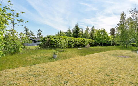 Soraya - 700M to the Fjord: Busk, Almindeligt, Land Lot, Eng, Pasture, Have, Mark, Lawn, Lærk, Evergreen