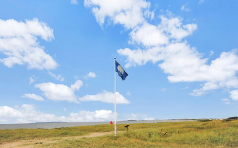 Soraya - 700M to the Fjord: Blå, Græs, Naturligt Miljø, Natur, Flag, Græs-, Økoregion, Sommer, Landskab, Almindeligt
