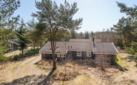 Sighbiorn - 950M from the Sea: Blå, Busk, Sommerhus, Bunddække, Have, Estate, Skygge, Landscaping, Stuehus, Eco Hotel