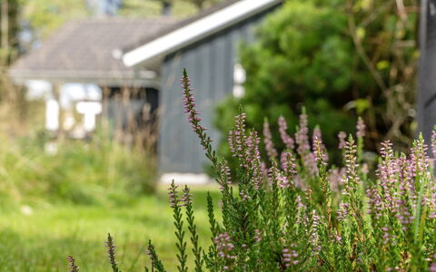 Grimi - 4Km from the Sea: Sommerhus, Hjem, Hus, Tag, Veranda, Estate, Sidespor, Garden Bygninger, Stuehus, Gård