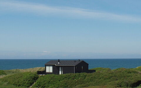 Skade - 75M from the Sea: Hus, Hjem, Dør, Tag, Sommerhus, Estate, Have, Skygge, Sidespor, Gård