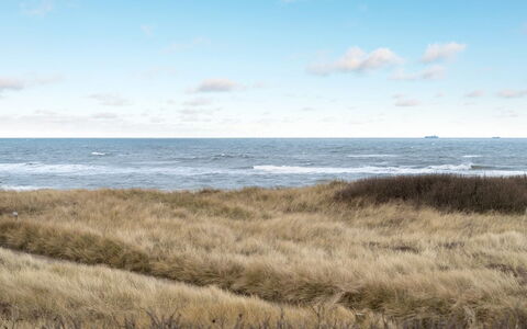 Skade - 75M from the Sea: Hus, Hjem, Dør, Tag, Sommerhus, Estate, Have, Skygge, Sidespor, Gård