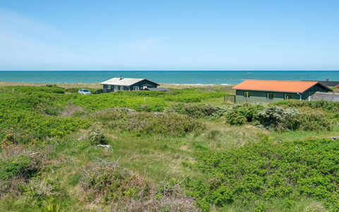 Hubert - 150M from the Sea: Økoregion, Land Lot, Sommerhus, Hav, Eng, Ocean, Kyst, Skur, Hytte, Garden Bygninger