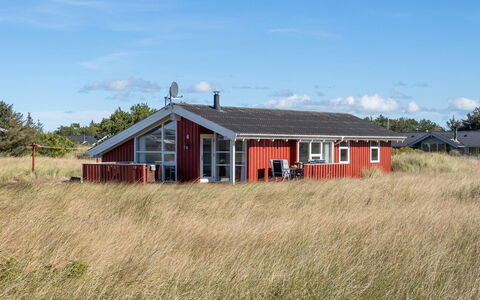 Bertie - 700M from the Sea: Græs, Græs-, Landskab, Økoregion, Almindeligt, Plantesamfund, Land Lot, Udendørs Møbler, Prærie, Shrubland