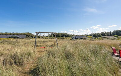 Bertie - 700M from the Sea