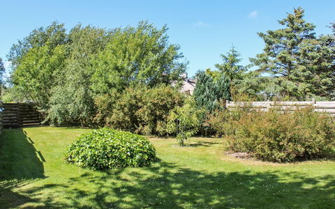 Marlena - 150M from the Sea: Grøn, Græs, Blad, Vegetationen, Busk, Have, Plantesamfund, Land Lot, Lawn