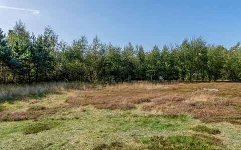 Jurgis - 300M from the Sea: Boligområde, Busk, Hus, Hjem, Have, Estate, Skygge, Landscaping, Lawn