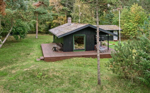Asmod - 300M from the Sea: Græs, Træ, Hus, Sommerhus, Tag, Hjem, Landdistrikt, Land Lot, Garden Bygninger