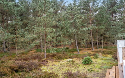 Syrine - 300M from the Sea: Tag, Hus, Hjem, Sommerhus, Sidespor, Estate, Indkørsel, Garden Bygninger, Gård, Skur