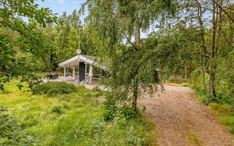 Ran - 600M from the Sea: Træ, Afdeling, Vegetationen, Busk, Forår, Woodland, Bagagerum, Have, Sti, Garden Bygninger